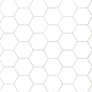 Hexley Ecru 10" Hexagon Porcelain Tile - White