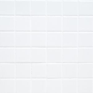 FREE SHIPPING - Domino White 2x2 Porcelain Tile - Matte