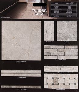 Tundra Gray 12x12 Polished Marble