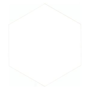 FREE SHIPPING - PURE White 10" Hexagon Porcelain Tile-White